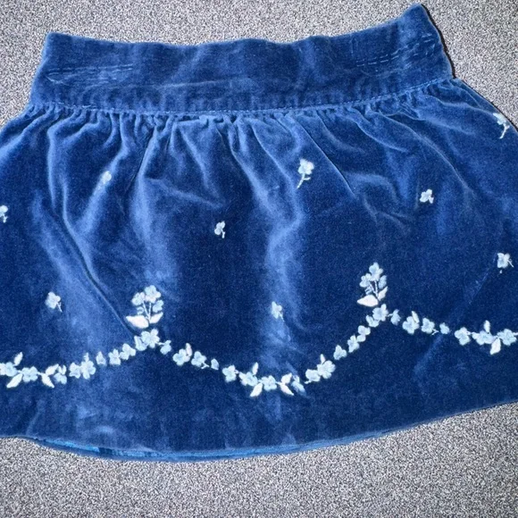 Blue Velvet Janie and Jack Skirt Baby Blue Floral Embroidery 3-6 Mo Hanukkah - Picture 5 of 13